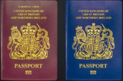 British passports (burgundy + blue)